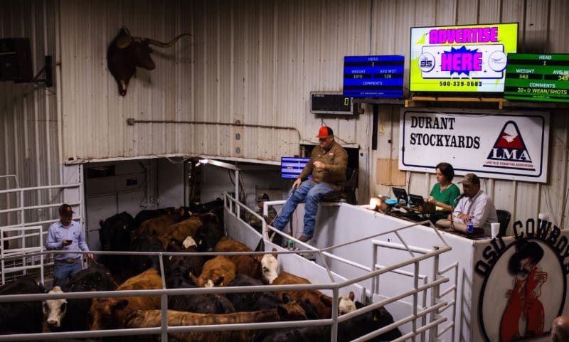 Ringside screens during a sale: an advertisement centre screen with live sale data either side